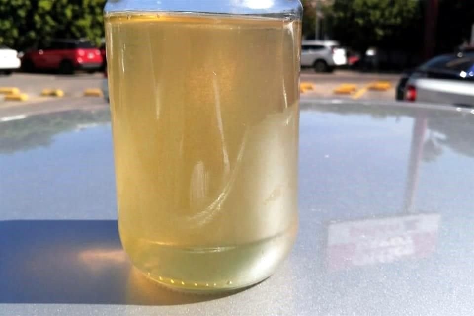  El impacto del agua turbia en la salud pública será abordado por académicos de la Universidad de Guadalajara (UdeG).  