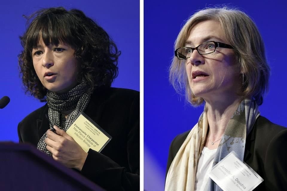 Las científicas Emmanuelle Charpentier y Jennifer Doudna ganaron Premio Nobel de Química por desarrollar método para edición del genoma.