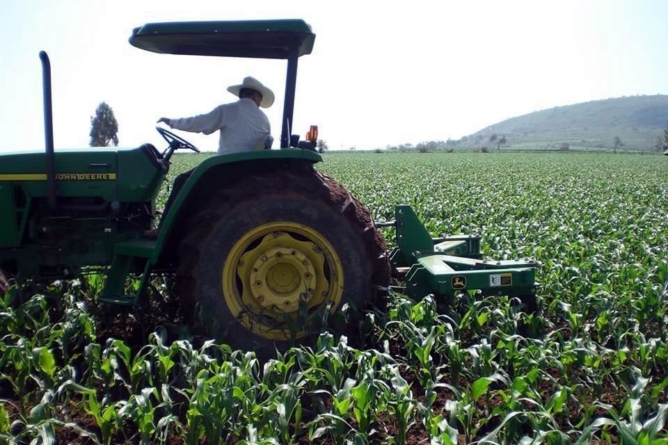 El año pasado, el gasto total que se aprobó para la Secretaría de Agricultura fue de 72 mmdp.