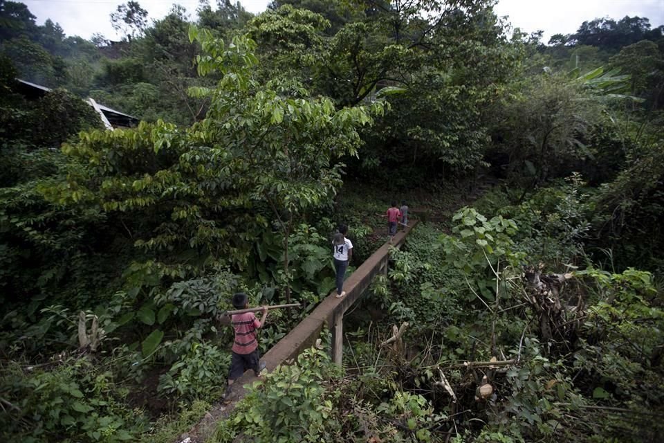 Juan Gabriel Vazquez y sus hermanos caminan hacia los campos para trabajar, en Chiapas, México.