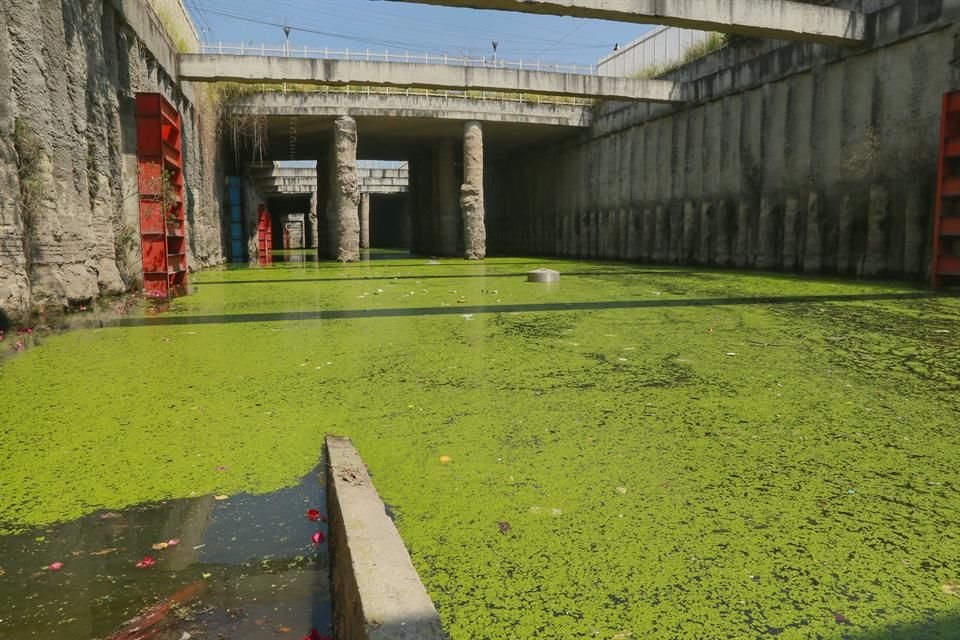 El agua luce enlamada y con basura, además de que despide mal olor.