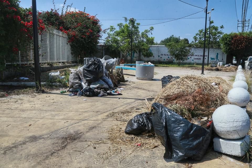 Basura en el paseo del  canal Santa Catalina.   Los pasillos que llevan al canal están tapizados de hojarasca, bolsas con basura y otros desechos.
