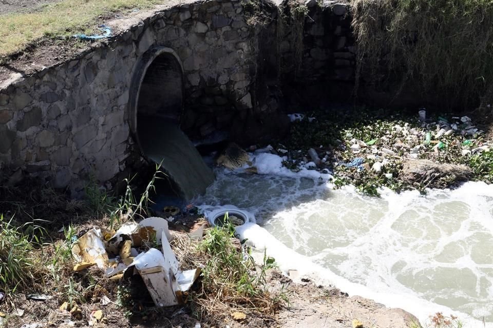 La Presa Las Pintas concentra agua que viene del Lago de Chapala por el Canal de Atequiza y termina en la planta potabilizadora de Miravalle; hoy luce con basura y líquido turbio.
