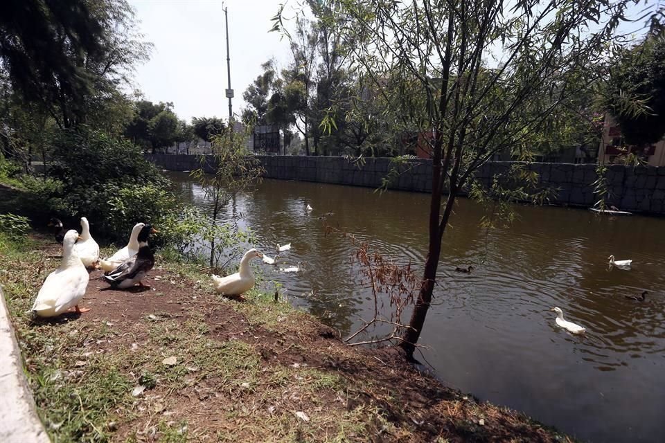 La Sedema realizará una consulta para que habitantes de pueblos originarios participen en la rehabilitación de Canal Nacional.