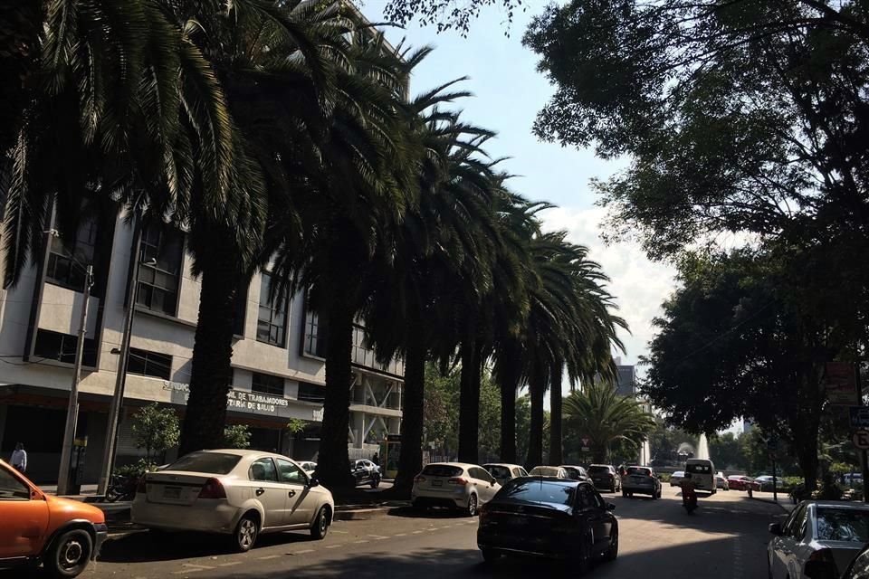 De acuerdo con un censo de árboles realizado por el Instituto de Biología, la Alcaldía Cuauhtémoc tiene un déficit de áreas verdes.
