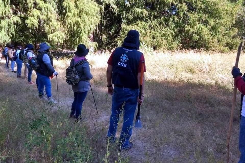 Este es el hallazgo más grande de cuerpos en fosas clandestinas en Guanajuato.