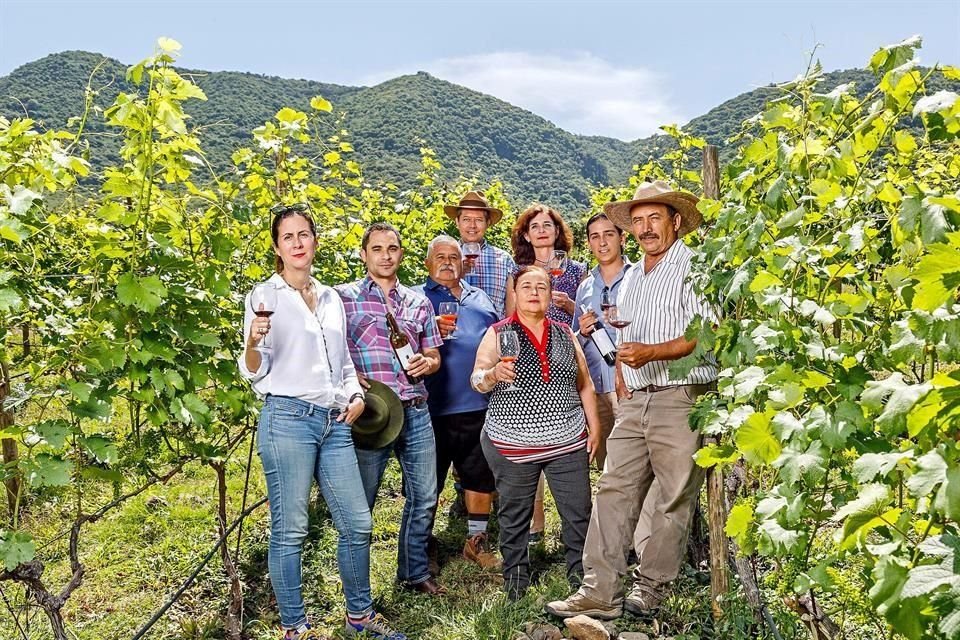 Por la posición en el globo terráqueo, en esta región del País se tienen dos vendimias al año: la vid da fruta tanto en temporada de cosecha del hemisferio norte como del sur.