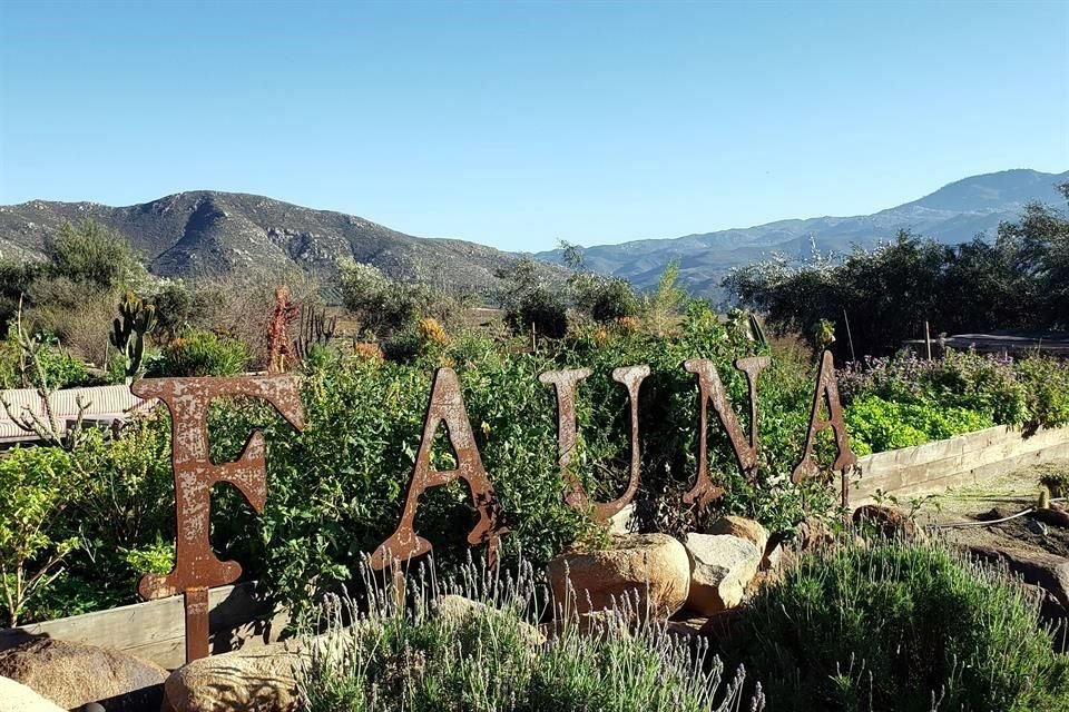 Fauna vuelve a poner al Valle de Guadalupe como destino gastronómico en América Latina.