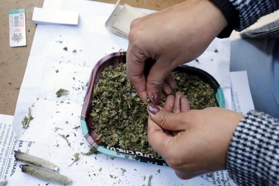 La directora de México Unido Contra la Delincuencia lamentó también que se disminuyeran las penas para el tráfico de grandes cantidades de mariguana.