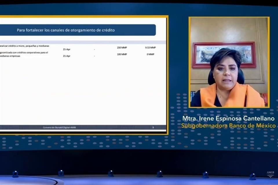 'Persisten riesgos sobre la sostenibilidad de las finanzas públicas y la calificación de la deuda soberana y de la deuda de Pemex', señaló Espinosa.