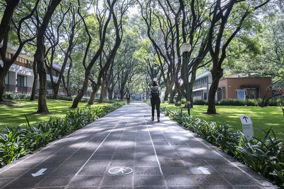 Según un ranking internacional, el ITESO está en primer lugar entre las universidades privadas de México más respetuosas del medio ambiente.