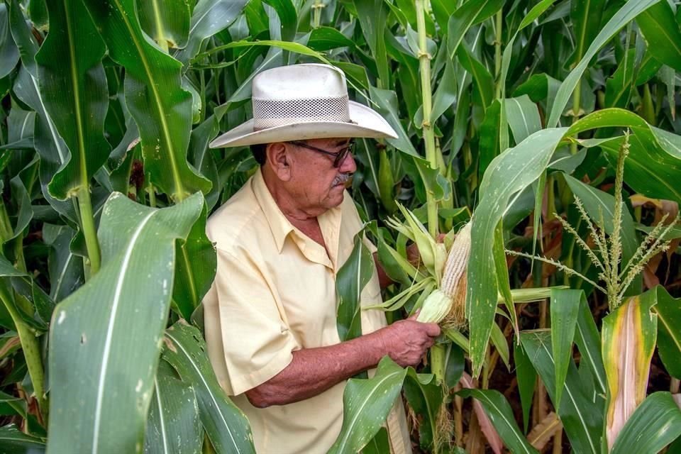 Para IICA, la brecha digital que existe en los territorios rurales debe estrecharse.