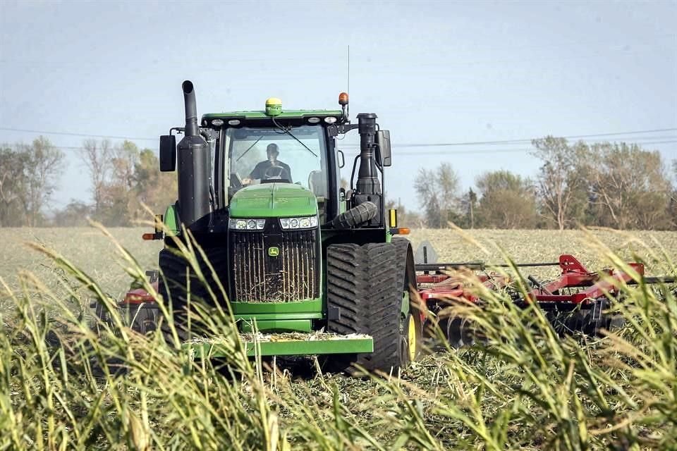 México depende de las importaciones de maíz amarillo de Estados Unidos para la alimentación de ganado.