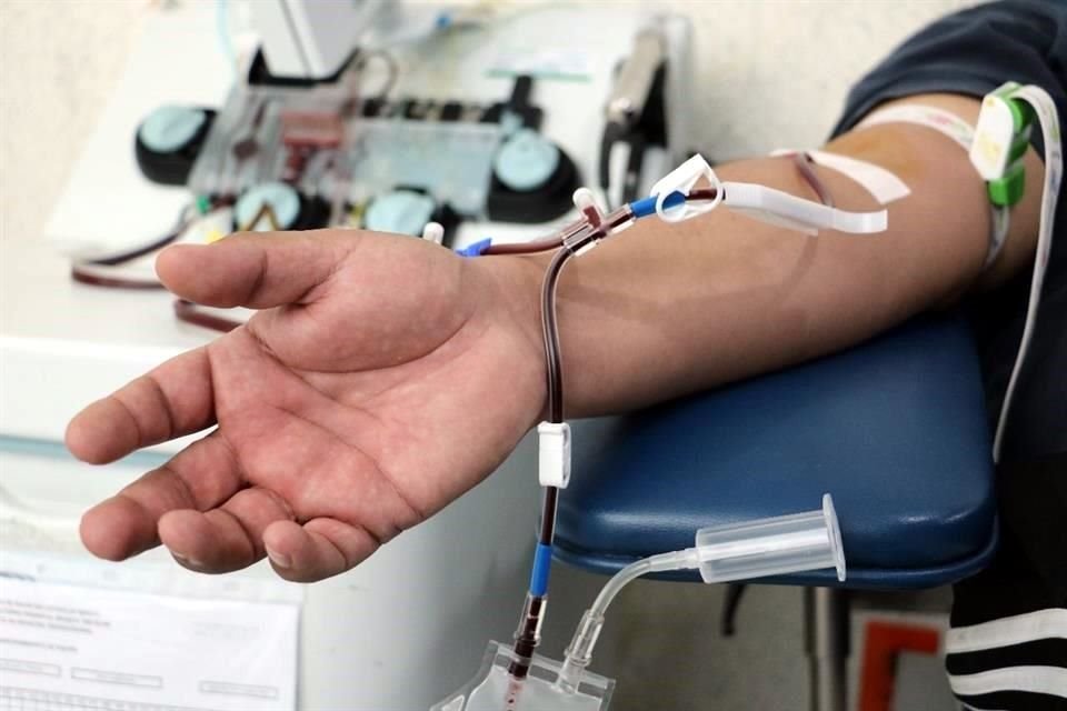 La transfusión de plasma ha demostrado ser de ayuda a pacientes graves de Covid-19. En los últimos meses ha crecido su demanda.