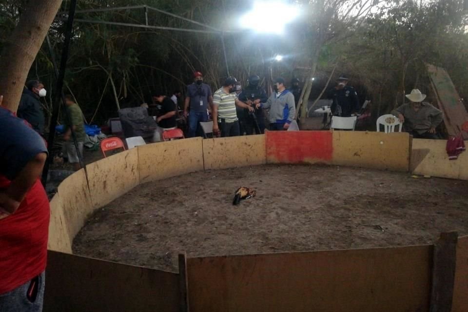Según información de la corporación policiaca, el operativo se realizó con base en una denuncia anónima que los llevó a una casa ubicada en Cerro del Cubilete 1520, de la Colonia Las Malvinas.