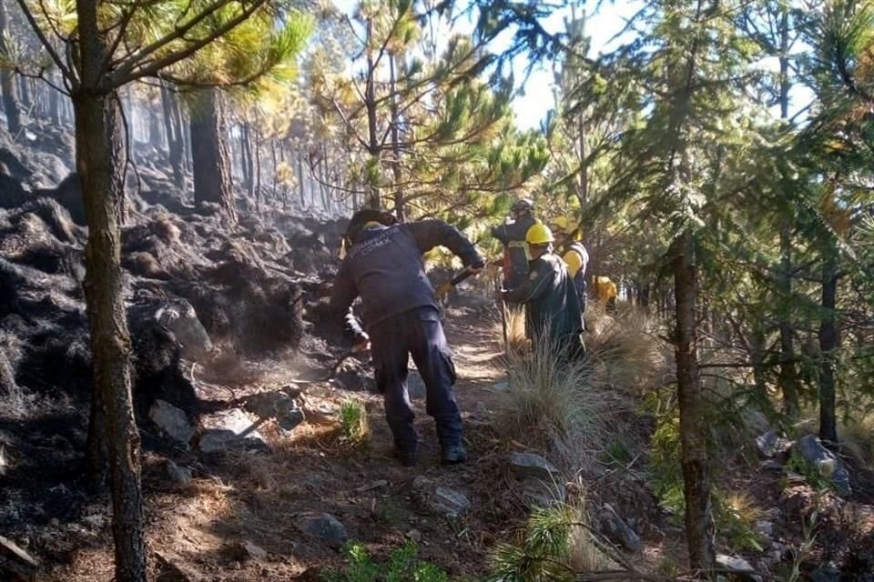 'Hoy, aproximadamente a las 00:00 horas, el incendio fue controlado y a las 10:34 horas, quedó completamente extinguido, con un saldo de 13.19 hectáreas afectadas', indicó Sedema.