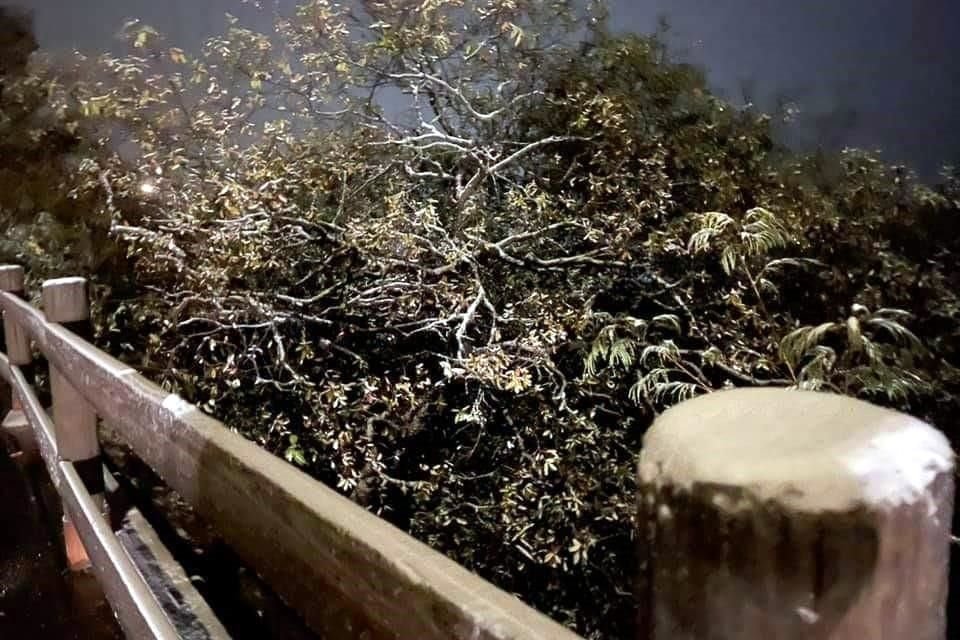 Chipinque, una de las zonas más altas del área metropolitana, se pintó de blanco.