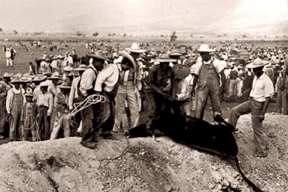 Los países no están trabajando en combatir el origen de enfermedades como Covid-19, que es el desequilibrio ambiental, estima el autor.