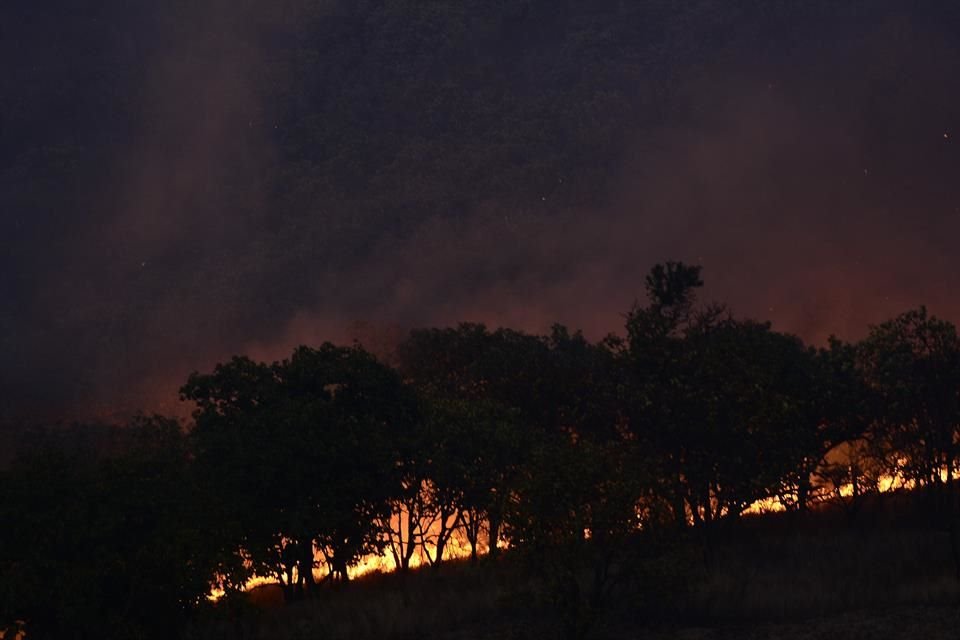 A casi cuatro años del incendio que afectó mil hectáreas en El Tepopote, en La Primavera, el Gobierno de Zapopan no lo ha protegido.
