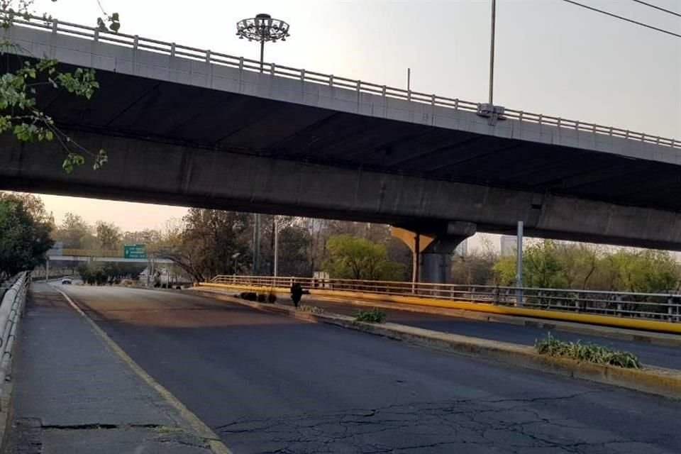 Para evitar tala de árboles, Sheinbaum informó que se harán dos calzadas flotantes en Chapultepec, que unirán la Primera y Segunda Sección.