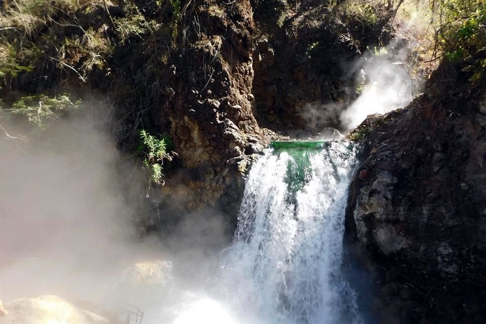 La Primavera es una 'fábrica' de agua, pues registra una captación promedio de 240 mil millones de litros de agua de lluvia cada año.