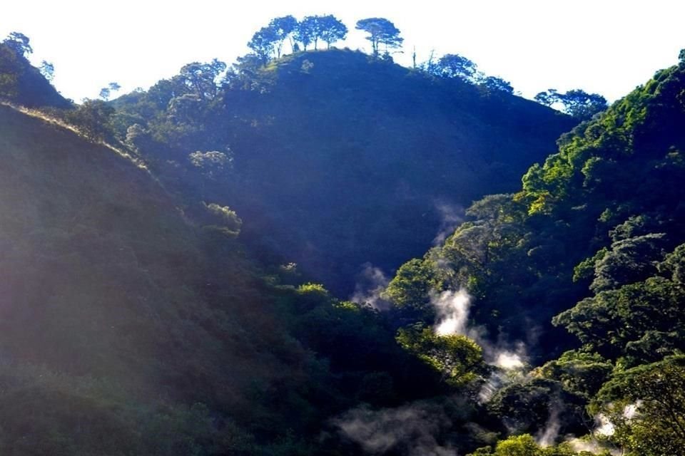 En sus 40 mil hectáreas de extensión, de las cuales solo 30 mil 500 forman parte del polígono protegido, se distribuyen alrededor de mil especies de plantas y 340 de fauna.
