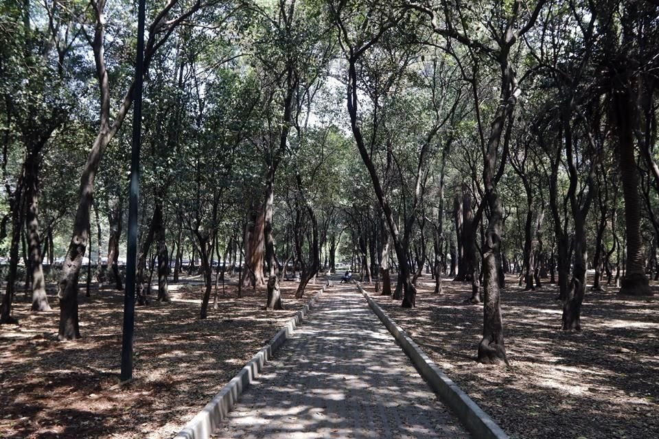 Esta plataforma permite medir la absorción de carbono y el nivel de infiltración pluvial.