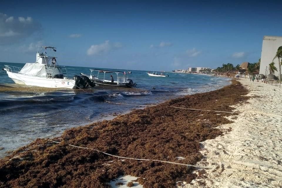 En Playa del Carmen, el fin de semana.