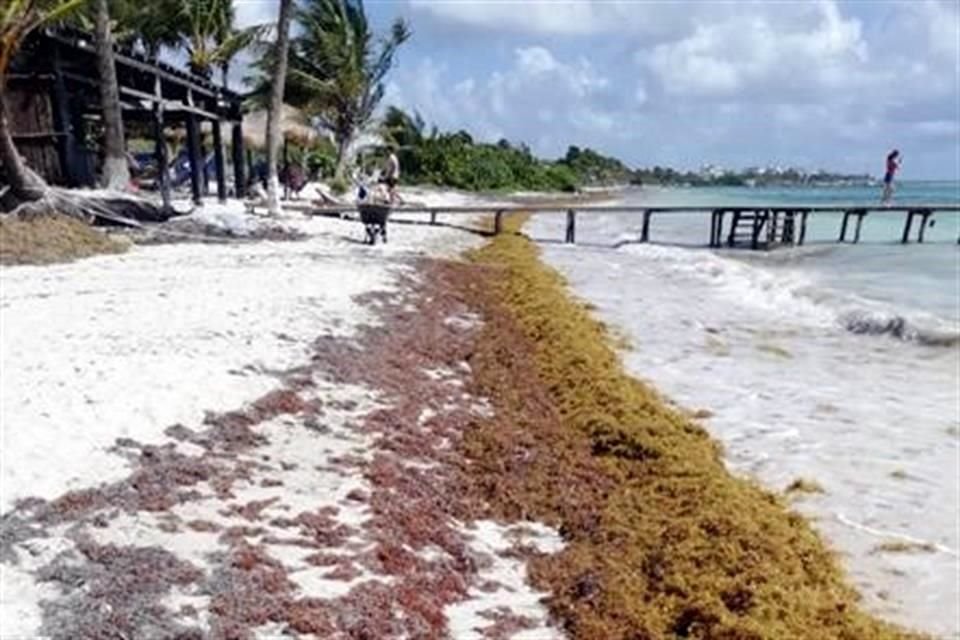 Akumal Sur, playa ubicada en Tulum, este miércoles a las 7:00 horas.