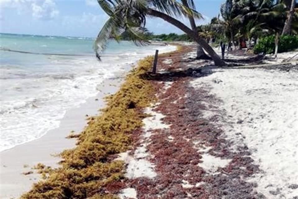 Akumal Sur, en Tulum, el pasado 13 de marzo.