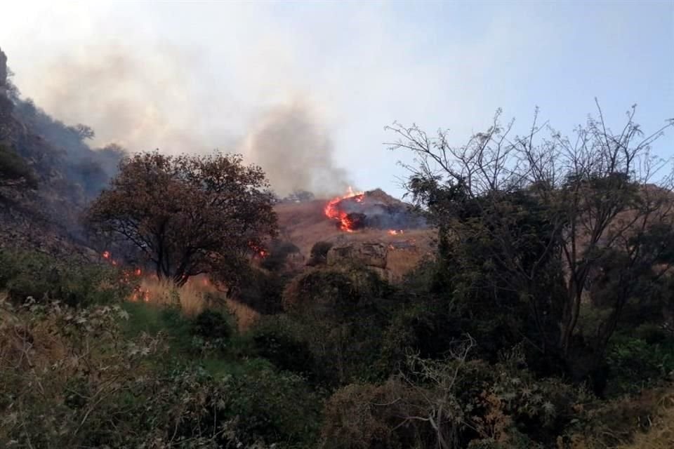 Agentes de Protección Civil del Municipio reportan que el fuego ha sido controlado en un 70 por ciento.