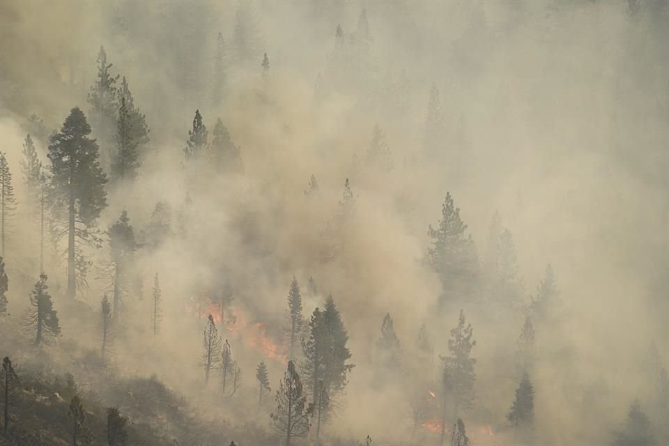 Árboles se observan en medio de un incendio en California.