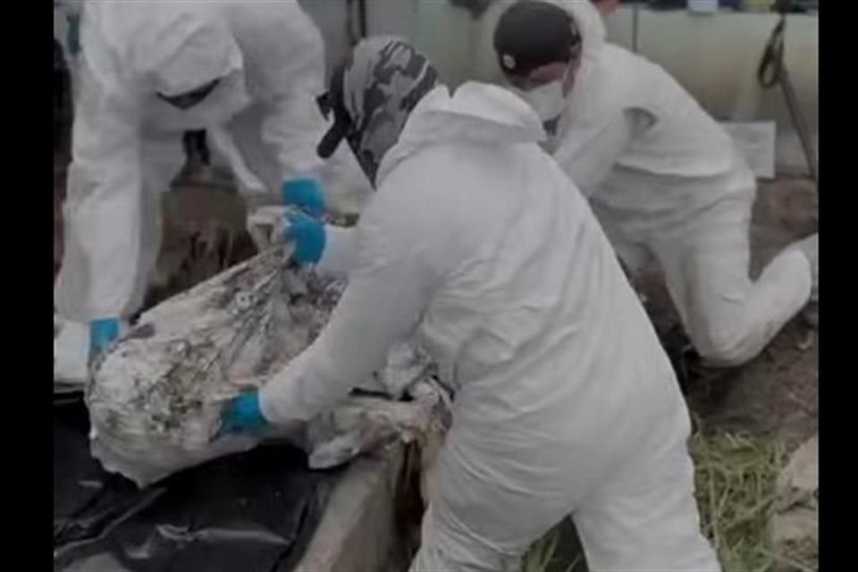 Los cuerpos fueron encontrados enterrados en distintas zonas de la finca en La Calera, una comunidad al norte de Irapuato, en Guanajuato.
