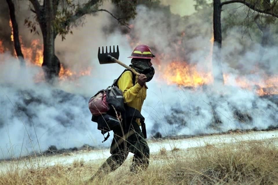Entre los delitos que la Unidad debe investigar está el de los incendios provocados en La Primavera.