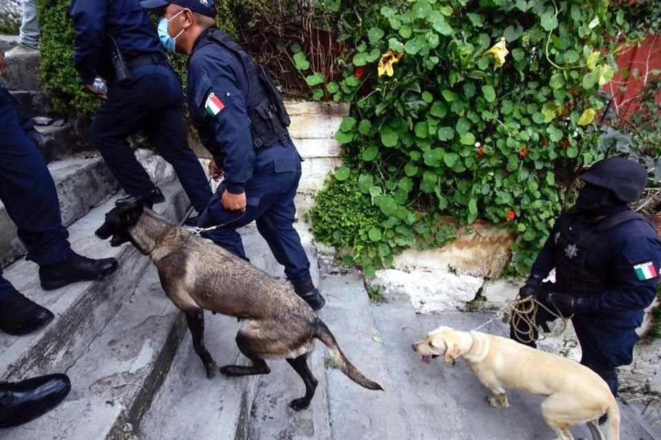 Binomios caninos se sumaron a las tareas.