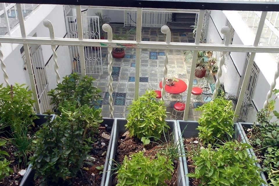 La Clínica Regina (por una mejor atención a la salud cultural) ha animado la vida en esa zona de la ciudad desde que Mendoza montara su estudio en la azotea del edificio
