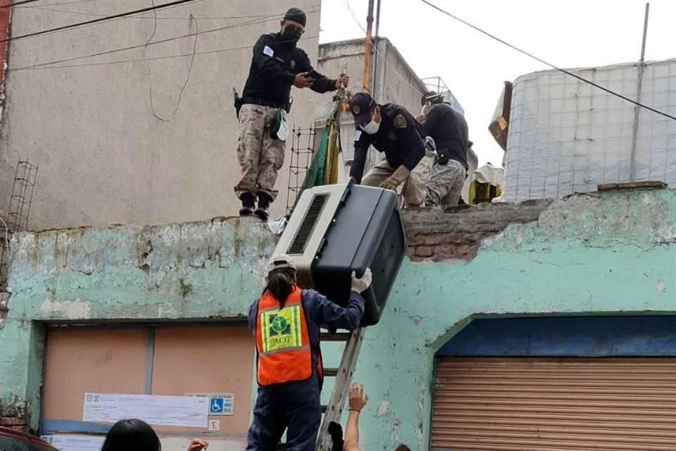 Los ejemplares presentan condición corporal entre baja y muy baja, todos deambulaban al interior del inmueble, el cual se encontraba lleno de residuos y objetos en desuso.