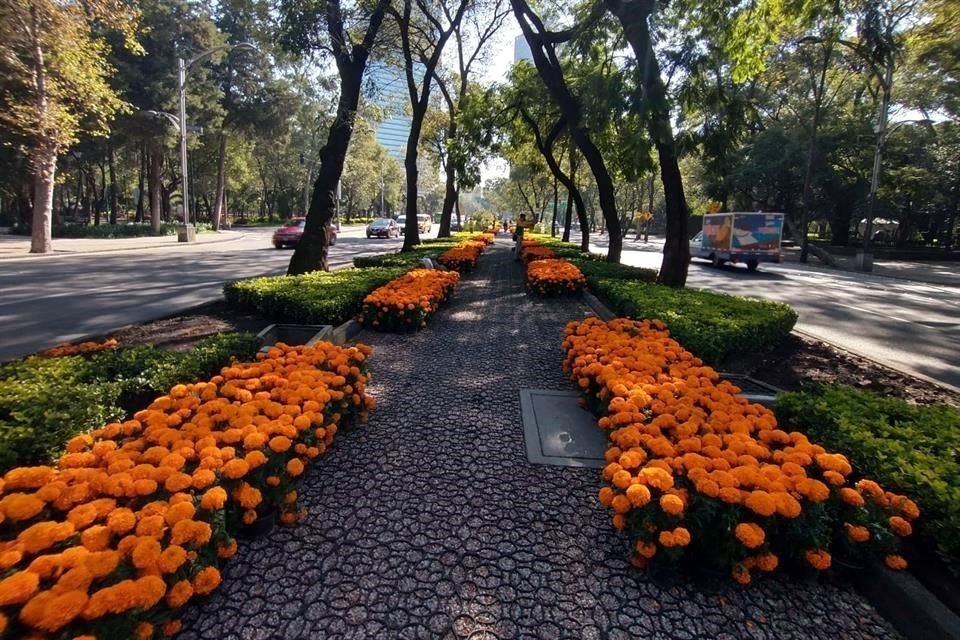 La comercialización de la venta de la flor de muertos implica la recuperación de la fuerza productiva en torno a este cultivo en Xochimilco.