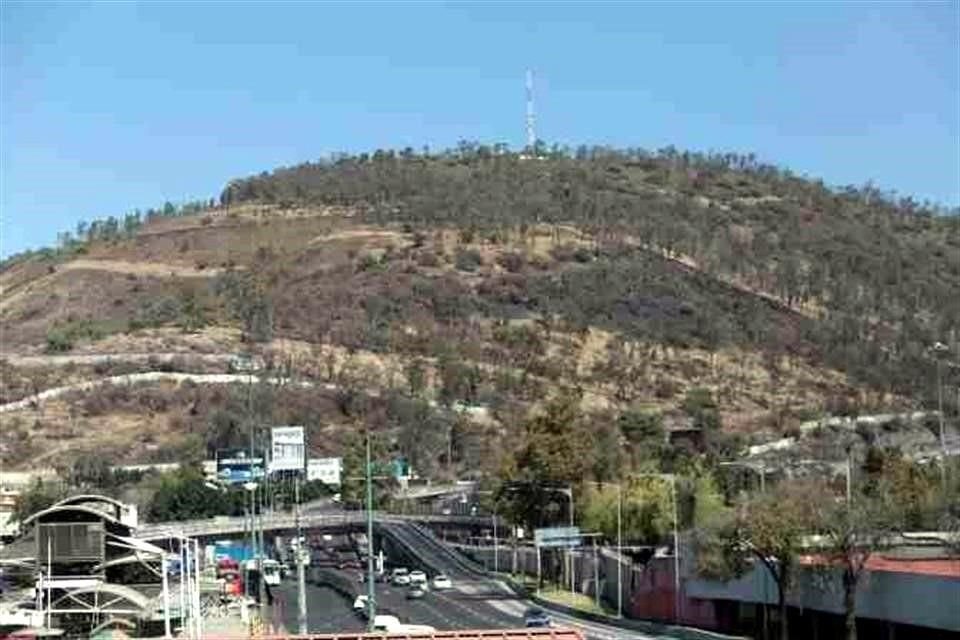 'No nos oponemos a una alternativa de transporte, pero los postes pueden ir sobre la Carretera México-Pachuca, queremos que se examine esa alternativa'. dijo Luisa Gutiérrez, diputada del PAN.