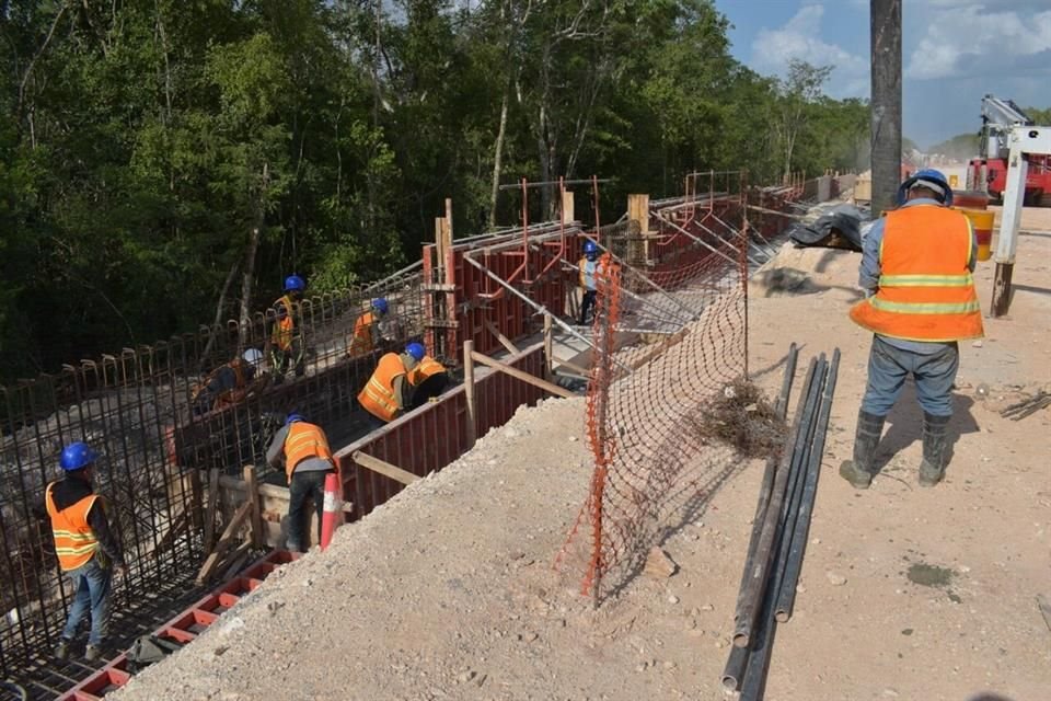 El material ferroviario arribó desde Japón a Puerto Progreso, Yucatán.