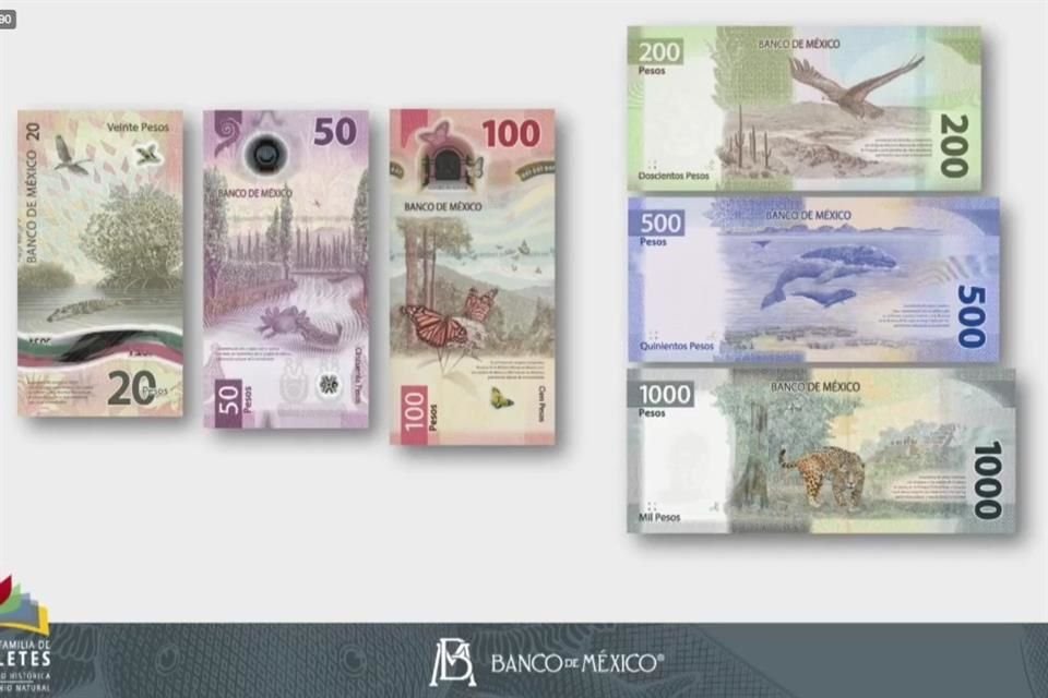 Con el nuevo billete de $50, así queda conformada la familia G de Banxico.