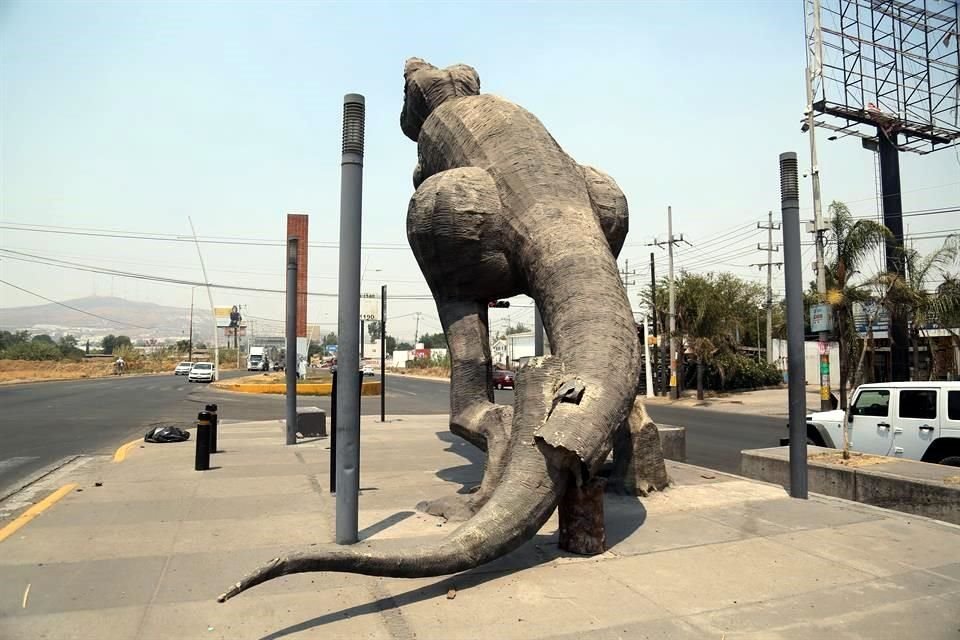 El tiranosaurio rex tiene la cola fracturada.