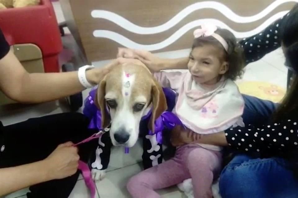 Camila, de 4 años, durante sus visitas al hospital convive con la perrita 'Pink'.