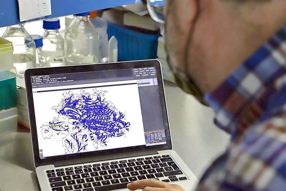 Sin mucho apoyo oficial, investigadores de la Universidad Autónoma de Querétaro trabajan desde hace un año en un proyecto contra SARS-CoV-2.