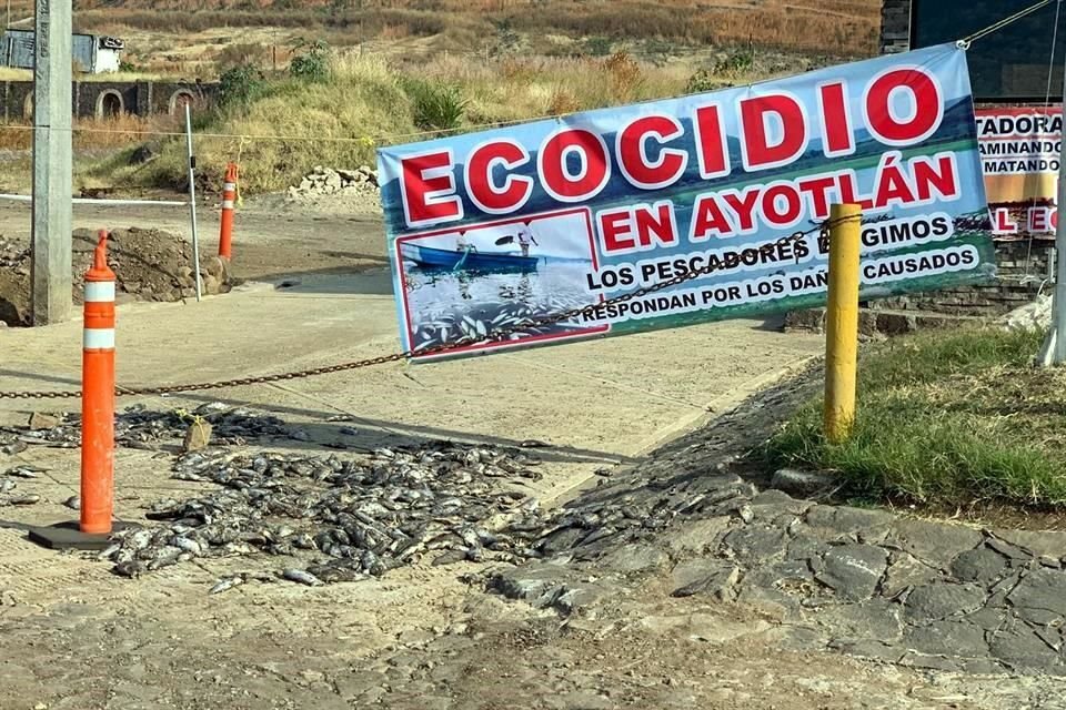 Pescadores y habitantes sacaron peces muertos y los llevaron al sitio donde permiten la descarga de vinazas para exigir la remediación ambiental.