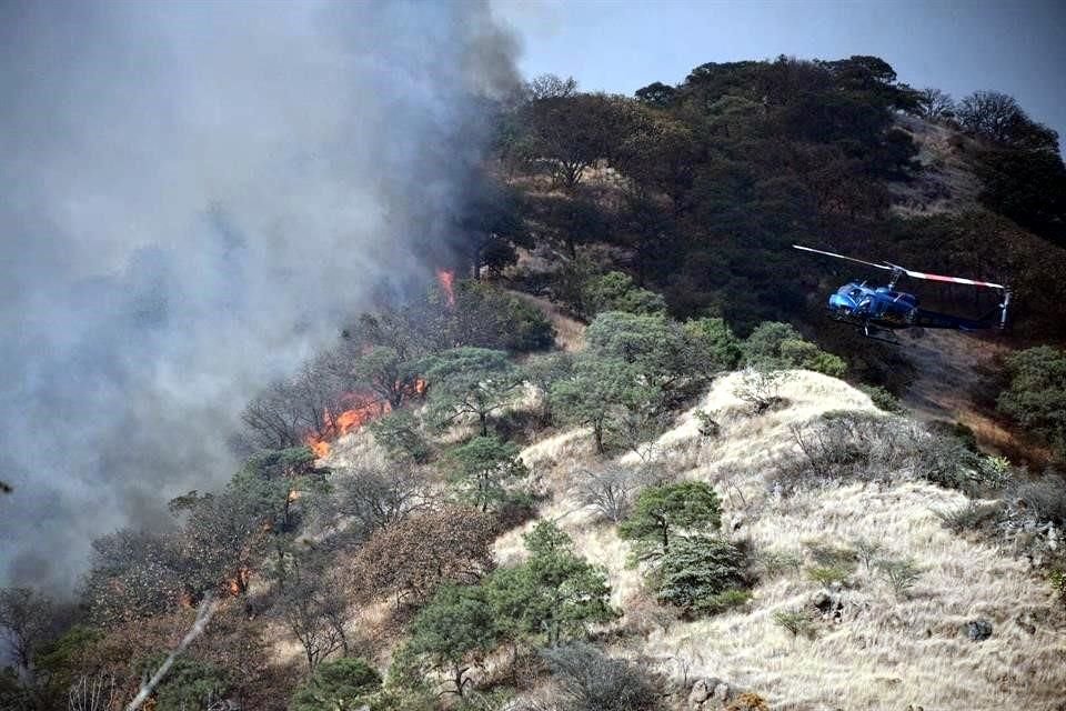 Para evitar que el Bosque La Primavera se vea afectado con incendios, diputados del PAN plantean cerrarlo hasta que llegue el temporal.