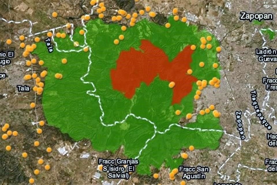 Los incendios de este año (marcados con punto naranja) han ocurrido principalmante, en la periferia del bosque.  