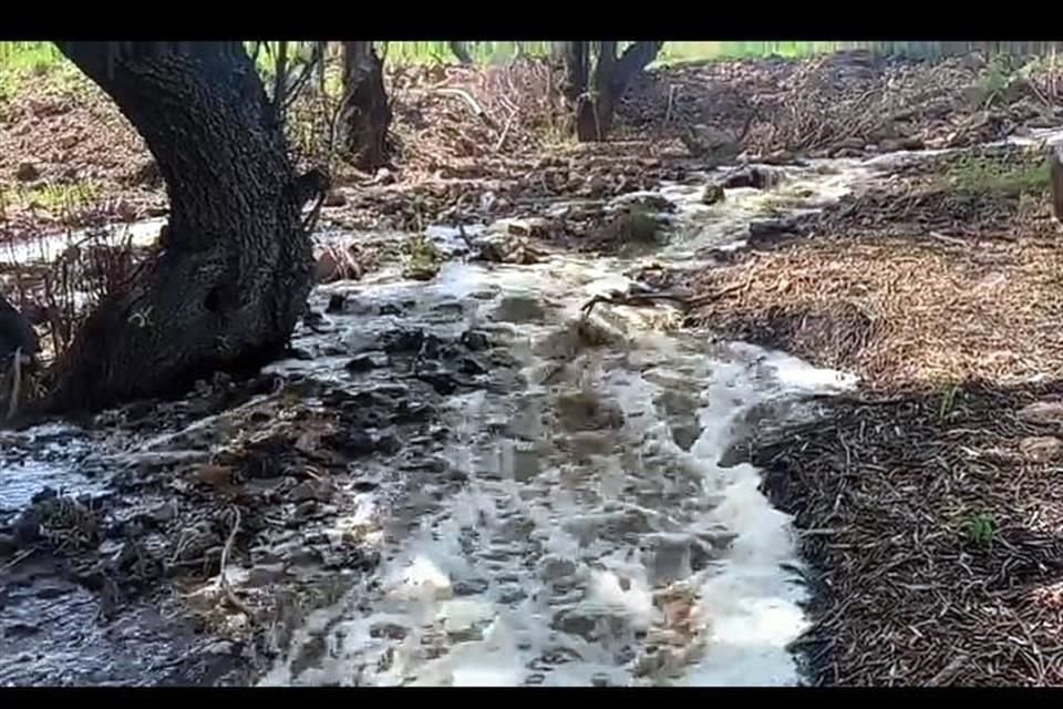La vinaza es desechada en arroyos, según el Plan de Desarrollo Municipal de Tequila, contaminando cuerpos de agua.