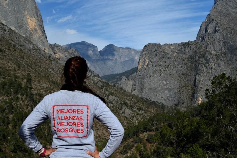 Reconoce Reforestamos México labor de aliados