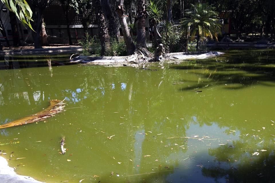 El Parque Agua Azul generalmente está descuidado y sucio.